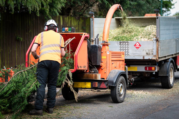 Best Firewood Processing and Delivery  in La Porte City, IA